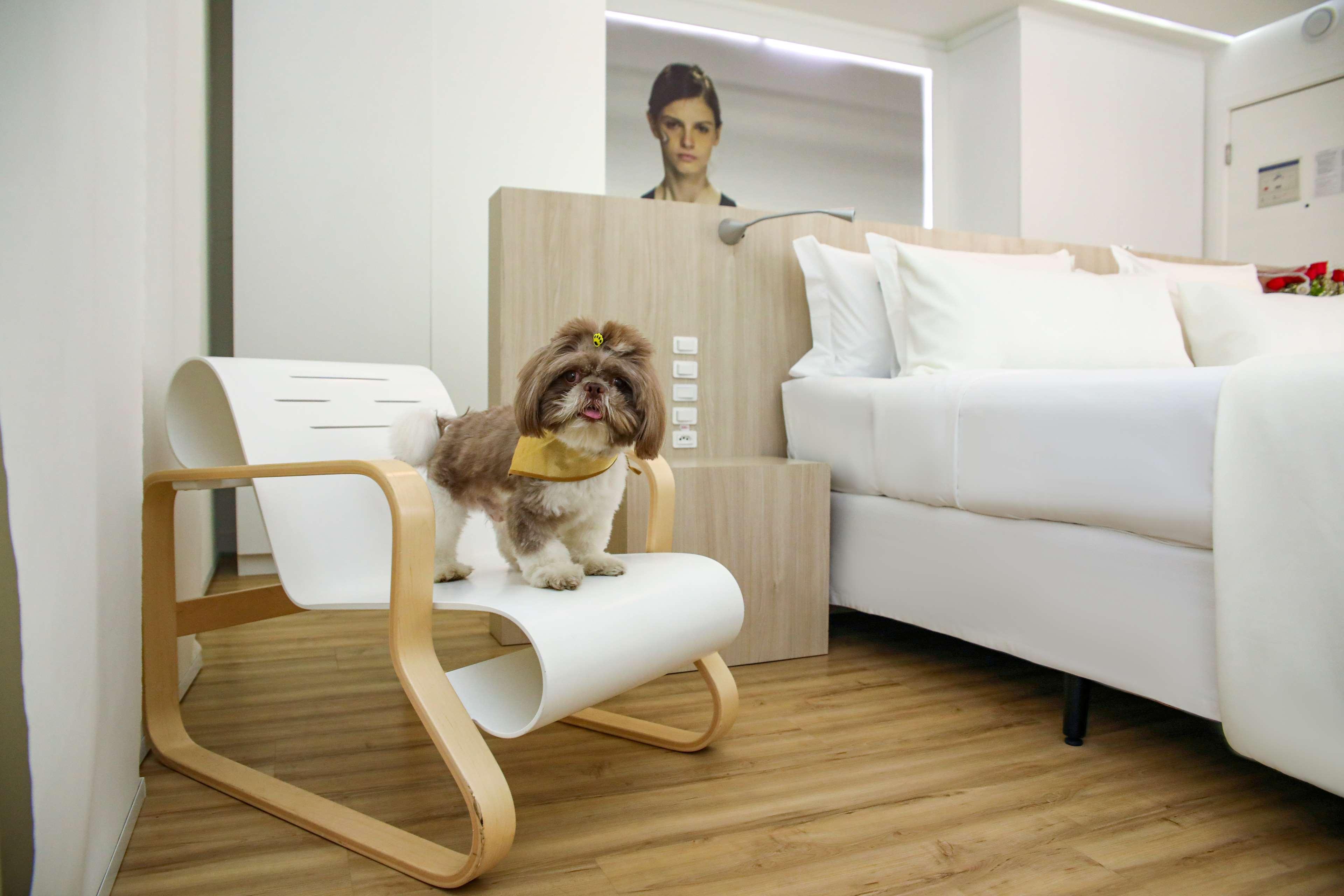 Best Western Plus Richmond Hill Inn Екстер'єр фото
